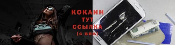 ГАЛЛЮЦИНОГЕННЫЕ ГРИБЫ Алексин