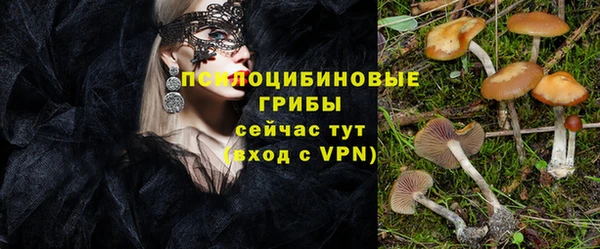 круглые Алзамай