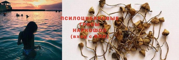 круглые Алзамай